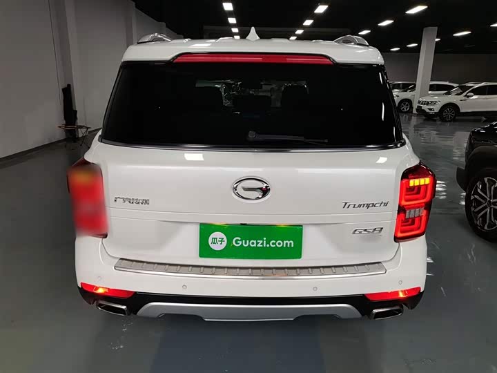 Trumpchi GS8 2017 320 T 2 WD ( ) — фото 6