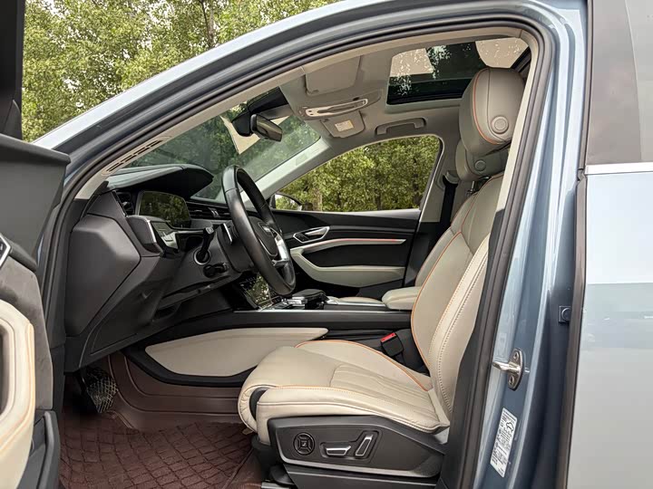 Audi e-tron 50 quattro премиум — фото 5