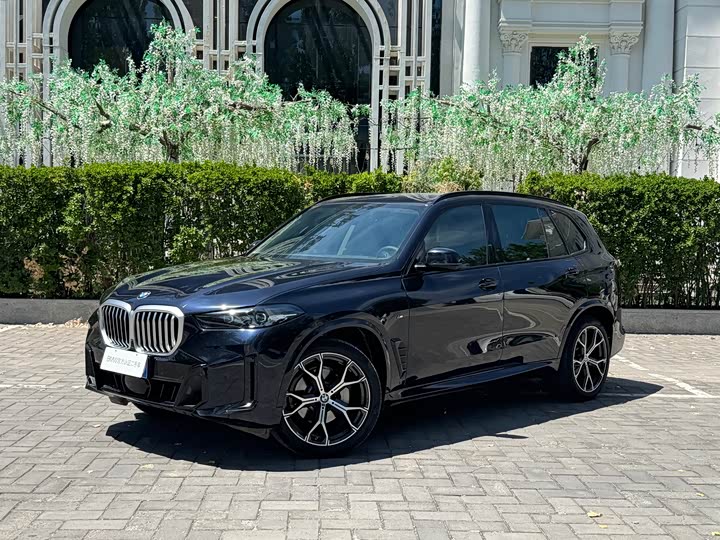 BMW X5 2023 x Drive 30 Li M — фото 7