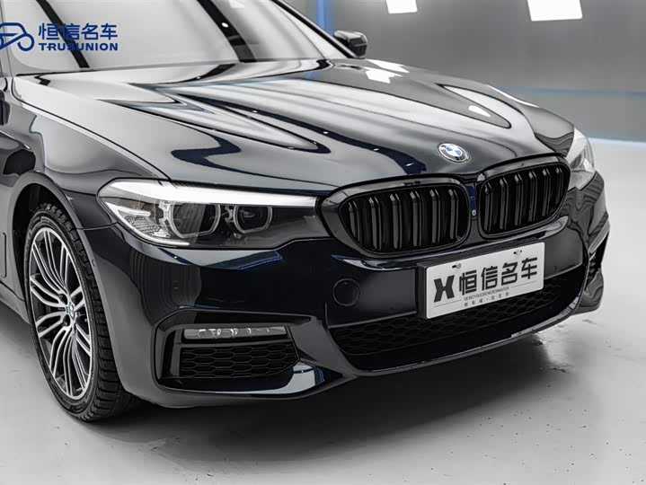 BMW 5-Series 2019 530 Li x Drive M — фото 6