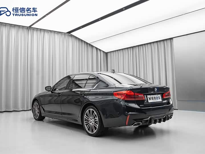 BMW 5-Series 2019 530 Li x Drive M — фото 11