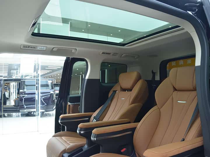 Hongqi HQ9 PHEV 2024 2.0 T 4 WD — фото 11