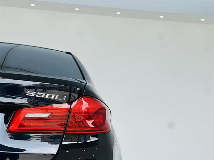 BMW 5-Series 2018 530 Li Leading M — фото 11