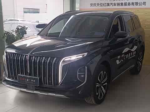 Hongqi HS7 2023 2.0 T AT 4 WD — фото 16