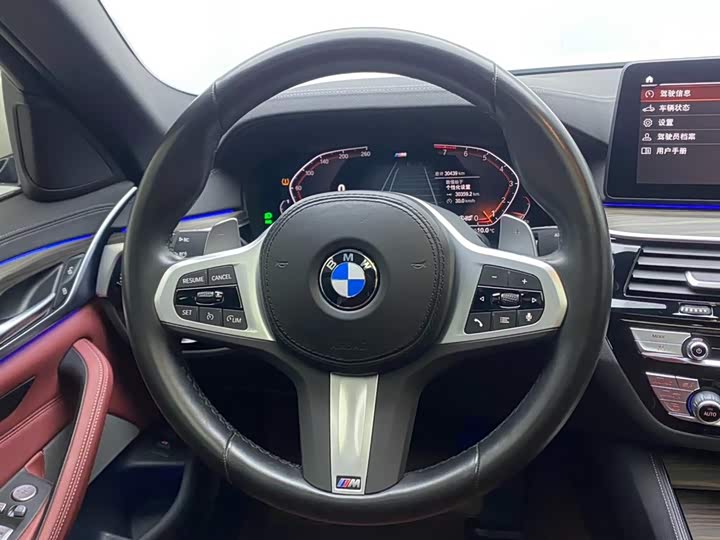 BMW 5-Series 2022 530 Li Leading M — фото 14