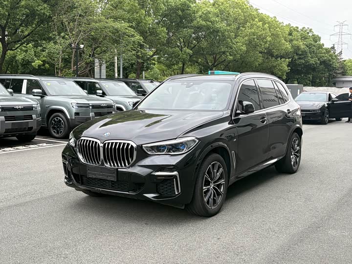 BMW X 5 2022 x Drive 30 Li M