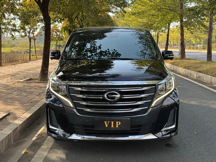 Trumpchi M8 2020 390 T — фото 2