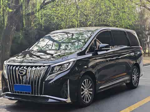 Trumpchi M8 2023 390 T — фото 23