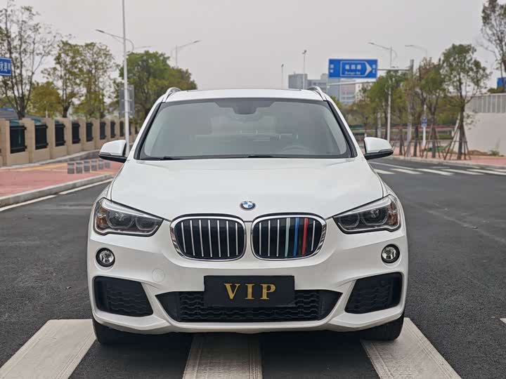 BMW X1 2018 s Drive 20 Li Leading — фото 2