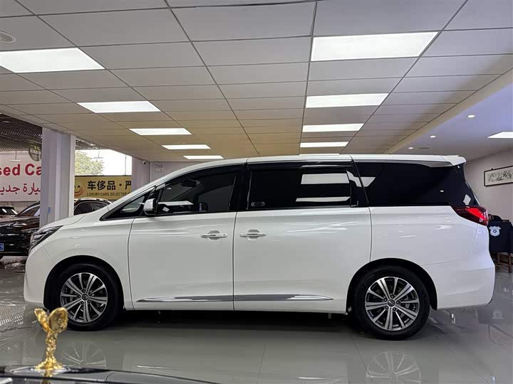 Trumpchi M8 2018 320 T — фото 5