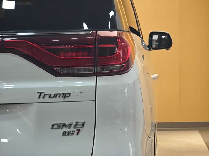 Trumpchi M8 2018 320 T — фото 30