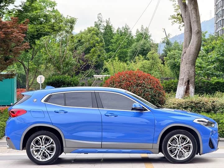 BMW X2 2019 s Drive 25i Luxury M VI — фото 12