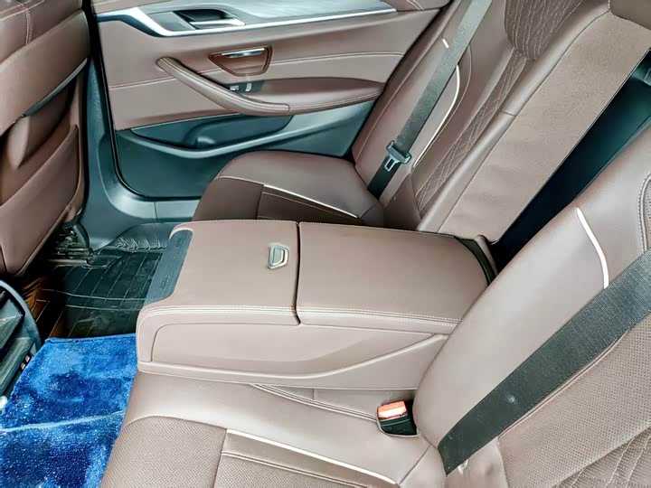 BMW 5-Series 2021 530 Li Leading M — фото 9