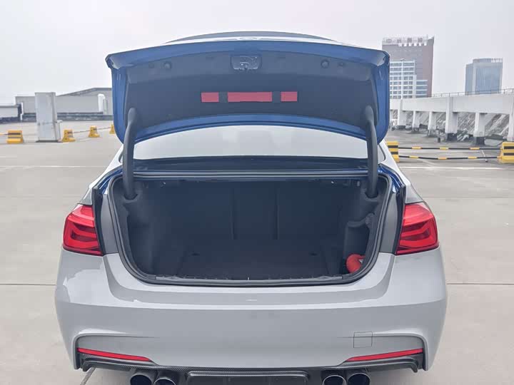 BMW 3-Series 2018 320 Li Leading M — фото 8