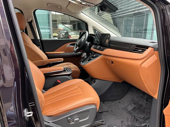 Hongqi HQ9 PHEV 2024 2.0 T 4 WD — фото 9