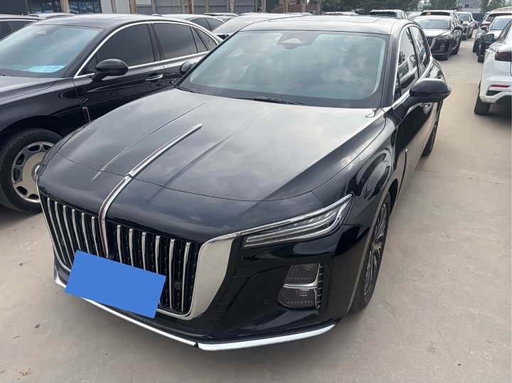 Hongqi H5 2025 2.0 T AT