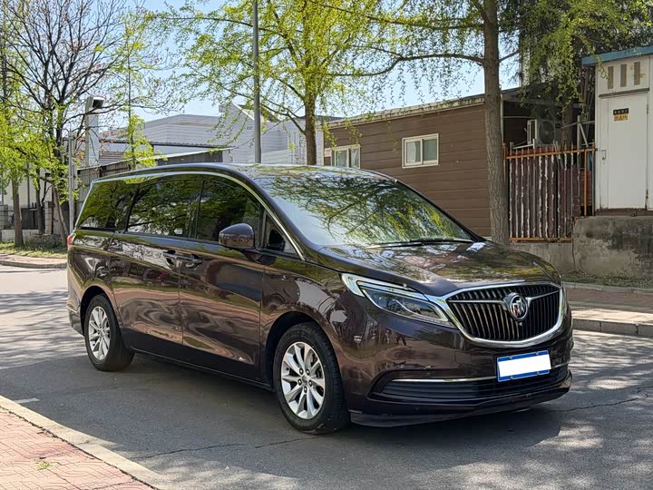 Buick GL8 ES 28T премиум V — фото 3
