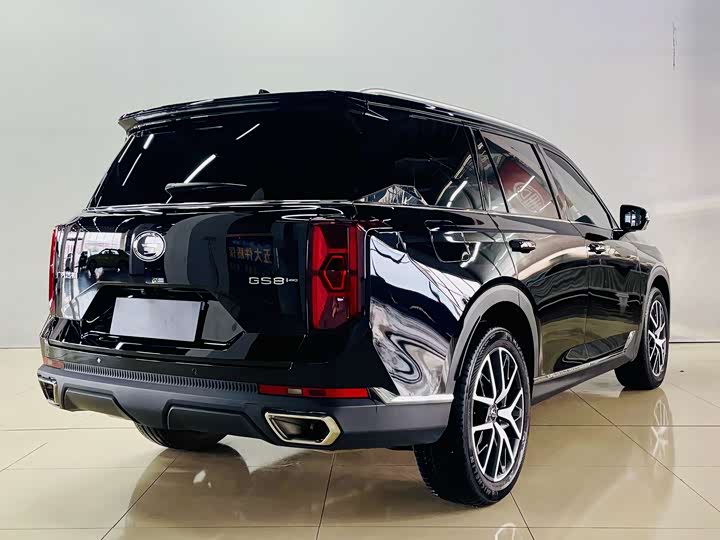 Trumpchi GS8 2024 2.0 TGDI 4 WD 7 — фото 6