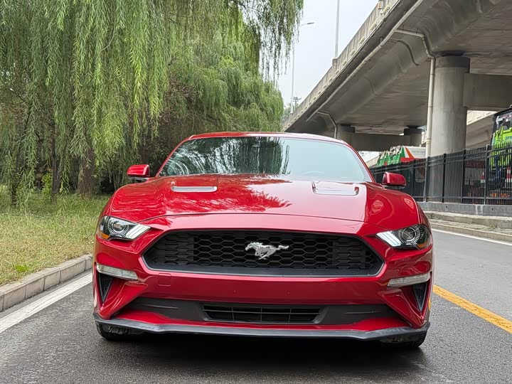 Ford Mustang 2021 2.3 T Eco Boost — фото 2