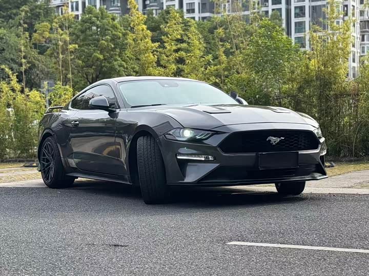 Ford Mustang 2020 2.3 L Eco Boost — фото 14