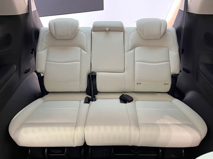 Trumpchi E9 2023 E 9 MAX — фото 13