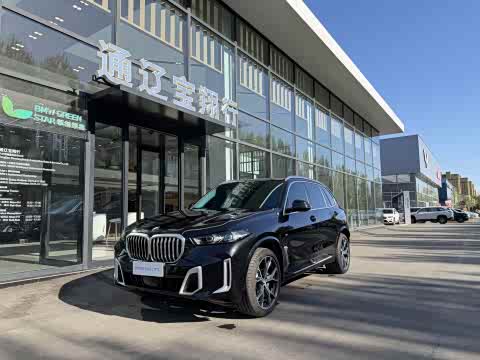 BMW X5 2023 x Drive 30 Li M — фото 10