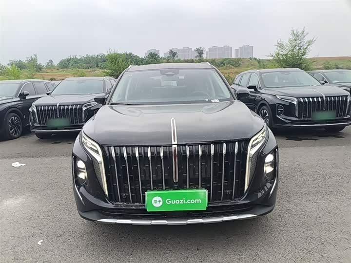 Hongqi HS7 PHEV 2024 2.0 T PHEV 4 WD 6 — фото 3