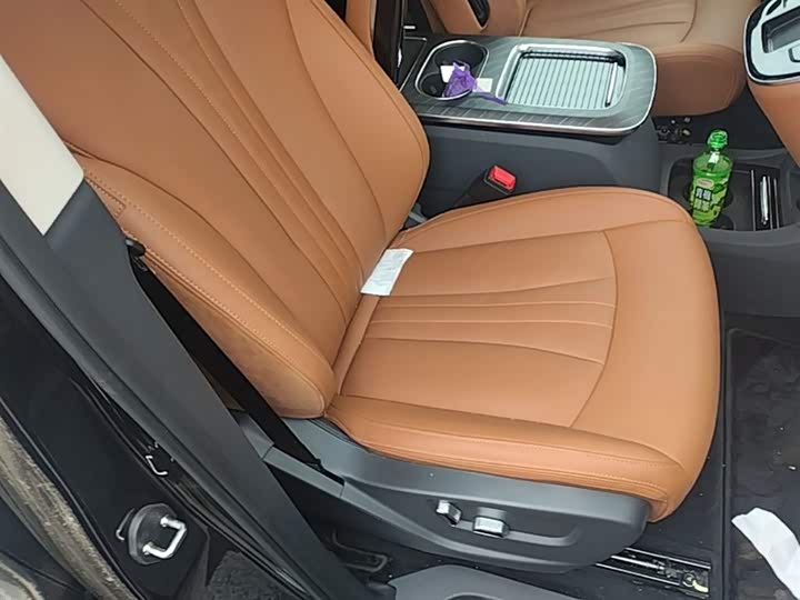 Hongqi HQ9 PHEV 2024 2.0 T 4 WD — фото 25