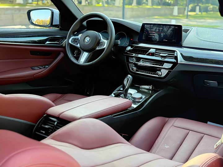 BMW 5-Series 2019 530 Li Leading M — фото 6