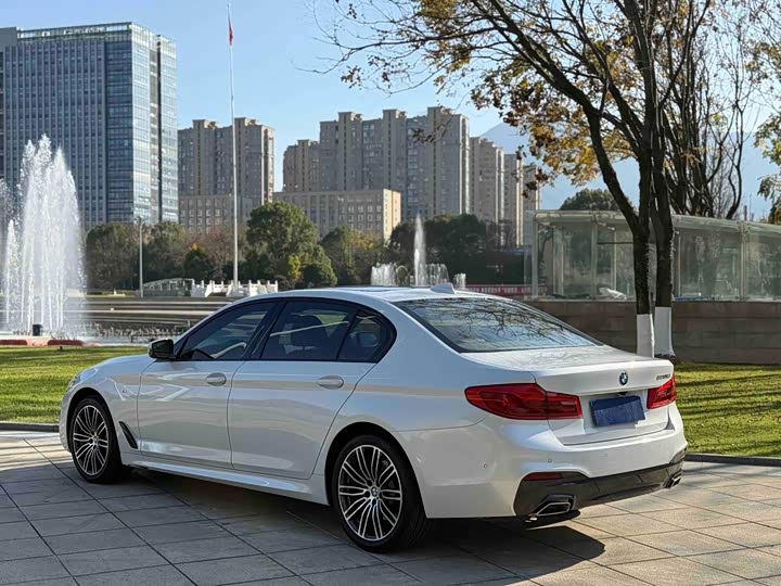 BMW 5-Series 2019 530 Li Leading M — фото 15