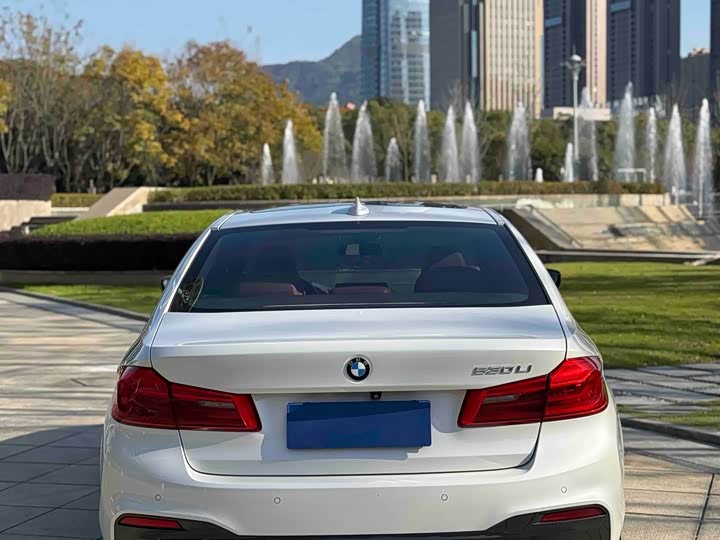 BMW 5-Series 2019 530 Li Leading M — фото 14
