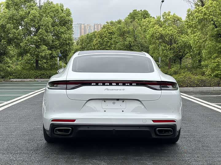 Porsche Panamera 2023 Panamera 4 2.9 T — фото 14