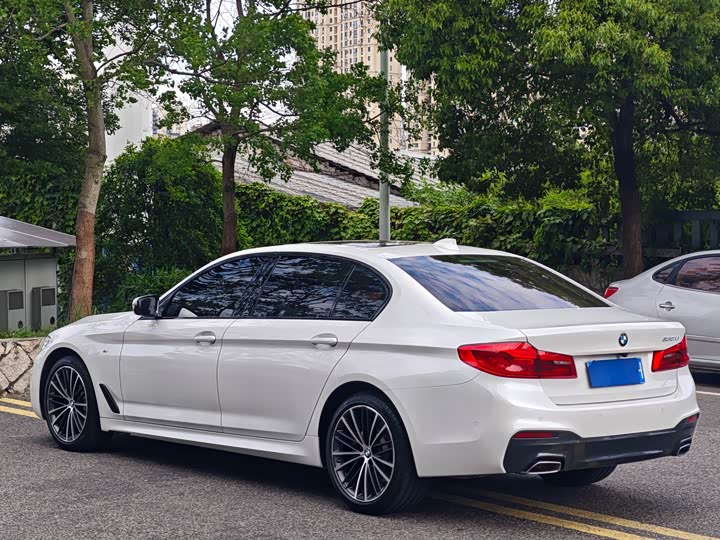 BMW 5-Series 2019 530 Li Leading M — фото 12