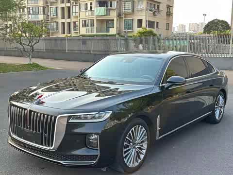Hongqi H9 2023 2.0 T — фото 10