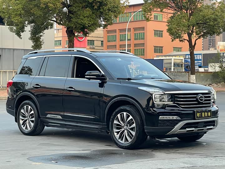 Trumpchi GS8 2017 320 T 2 WD ( ) — фото 3