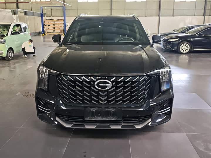 Trumpchi GS8 2022 2.0 TM 2 WD ( ) — фото 2