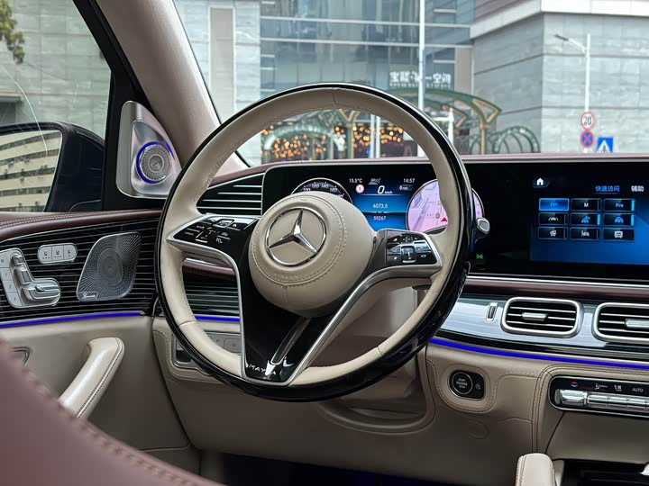 Maybach GLS 2022 GLS 480 4 MATIC — фото 11