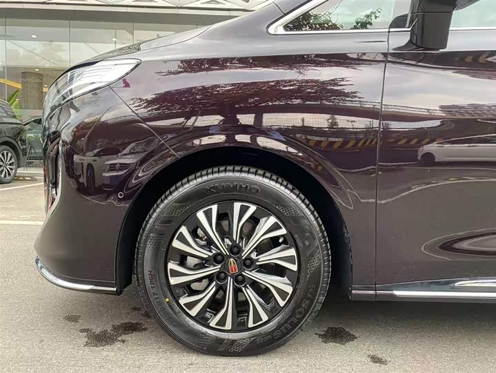 Hongqi HQ9 PHEV 2024 2.0 T 4 WD — фото 29