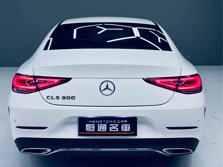 Mercedes-Benz CLS 2020 CLS 300 — фото 4