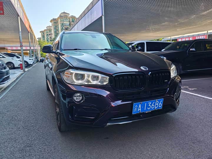 BMW X6 xDrive28i — фото 3