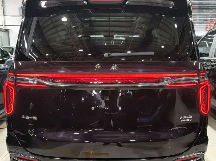 Hongqi HQ9 PHEV 2024 2.0 T 4 WD — фото 9