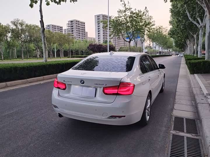BMW 3-Series 2016 320 Li — фото 13
