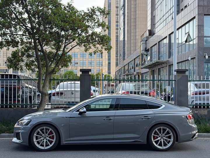 Audi RS5 2019 RS 5 2.9 T Sportback — фото 3