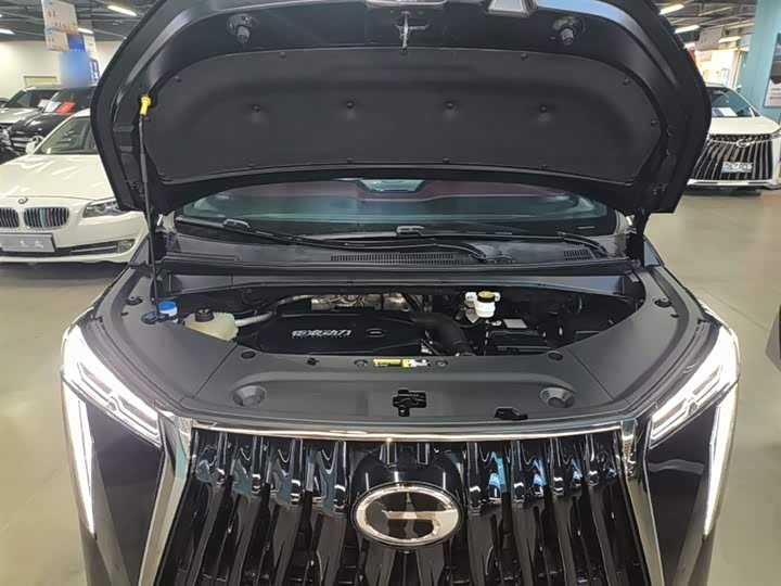 Trumpchi M8 2023 400 T — фото 20