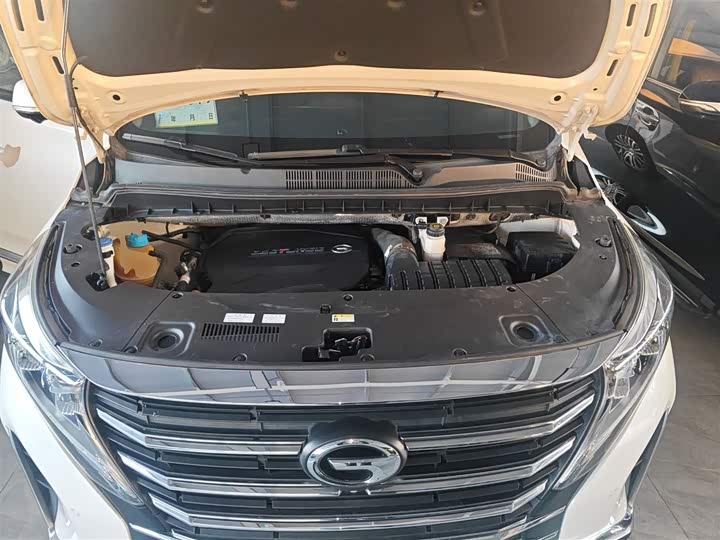 Trumpchi M8 2021 390 T — фото 10
