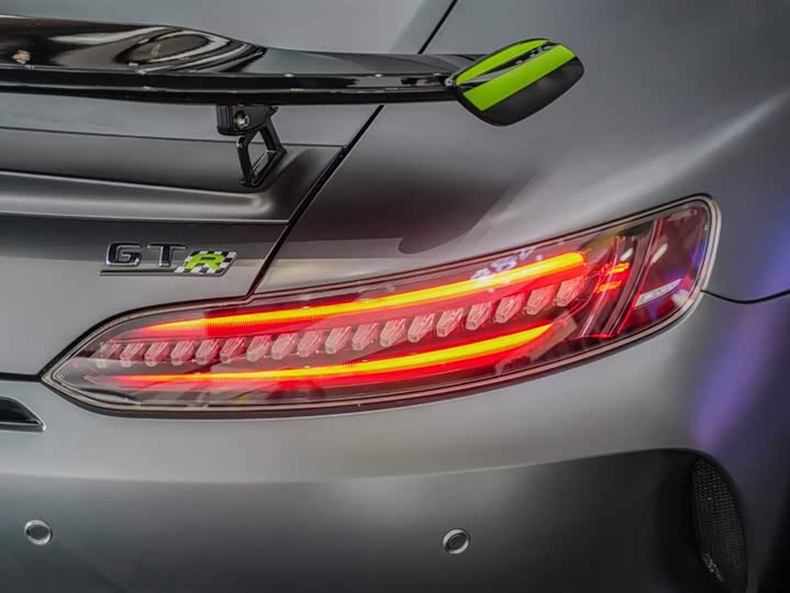 Mercedes-Benz AMG 2019 AMG GT R PRO — фото 10