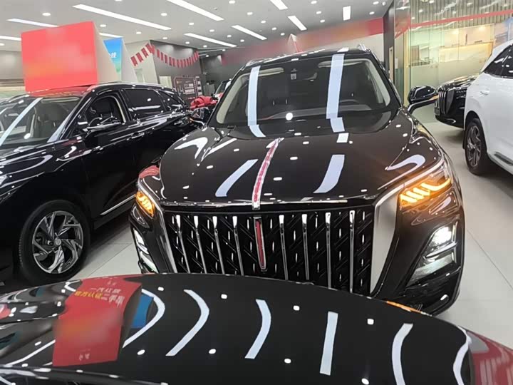 Hongqi HS5 2023 2.0 T 4 WD Pro — фото 3