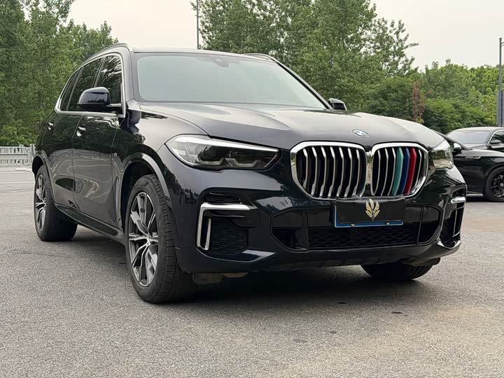 BMW X5 2022 x Drive 30 Li M — фото 3
