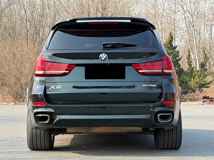 BMW X5 2017 x Drive 35i MSport — фото 5