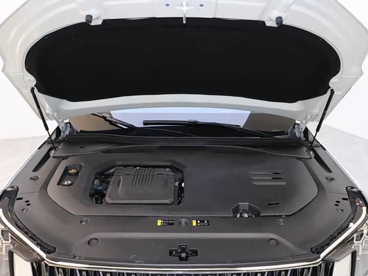 Trumpchi GS8 2024 2.0 TM 2 WD — фото 10